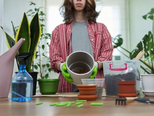 Palmetto Vermiculite Company 4 Cubic Foot Planting Soil Additive (Perlite)