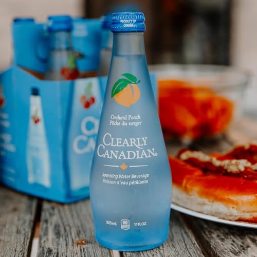 Clearly Canadian Mountain Blackberry Sparkling Water, 11 Fl Oz