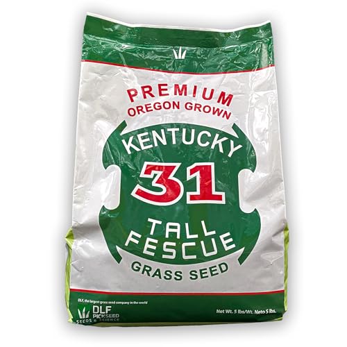 X-Seed Oregon Grown Kentucky 31 Tall Fescue Grass Seed for Sun and Shade Drought-Resistant Lawn for High Traffic, Forage & Turf Grass – Designed for Extreme Durability & Retaining Moisture – 5 lb Bag