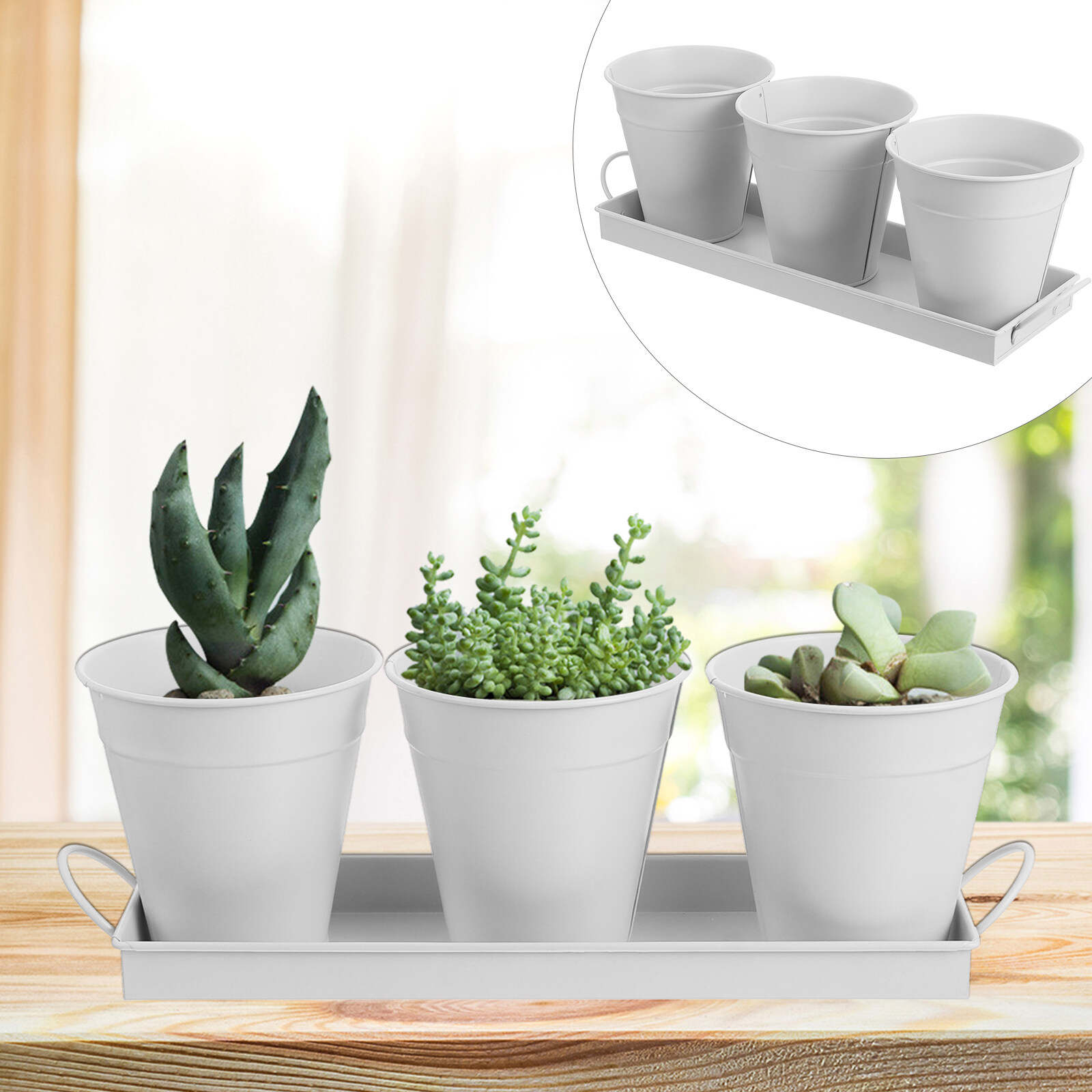 9 pcs Garden Flower Pot with 1pc Tray Succulents Utensil Holder