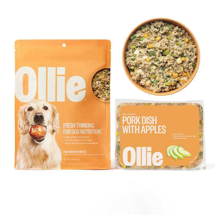 Ollie Fresh Pork Dish with Apples Frozen Dog Food - Pet Supplies online store