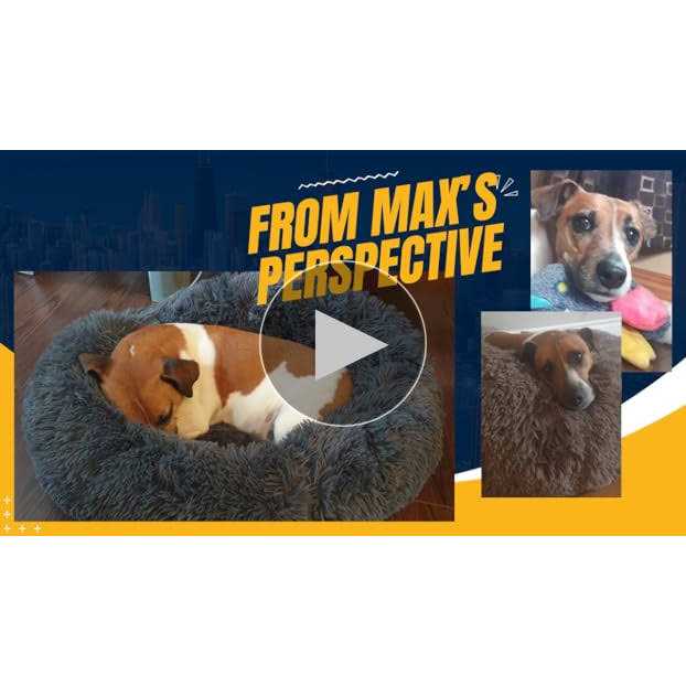 BODISEINT Modern Soft Plush Round Pet Bed for Cats or Small Dogs Mini Medium Sized Dog Cat Bed Self Warming Autumn Winter Indoor - Pet Supplies online store