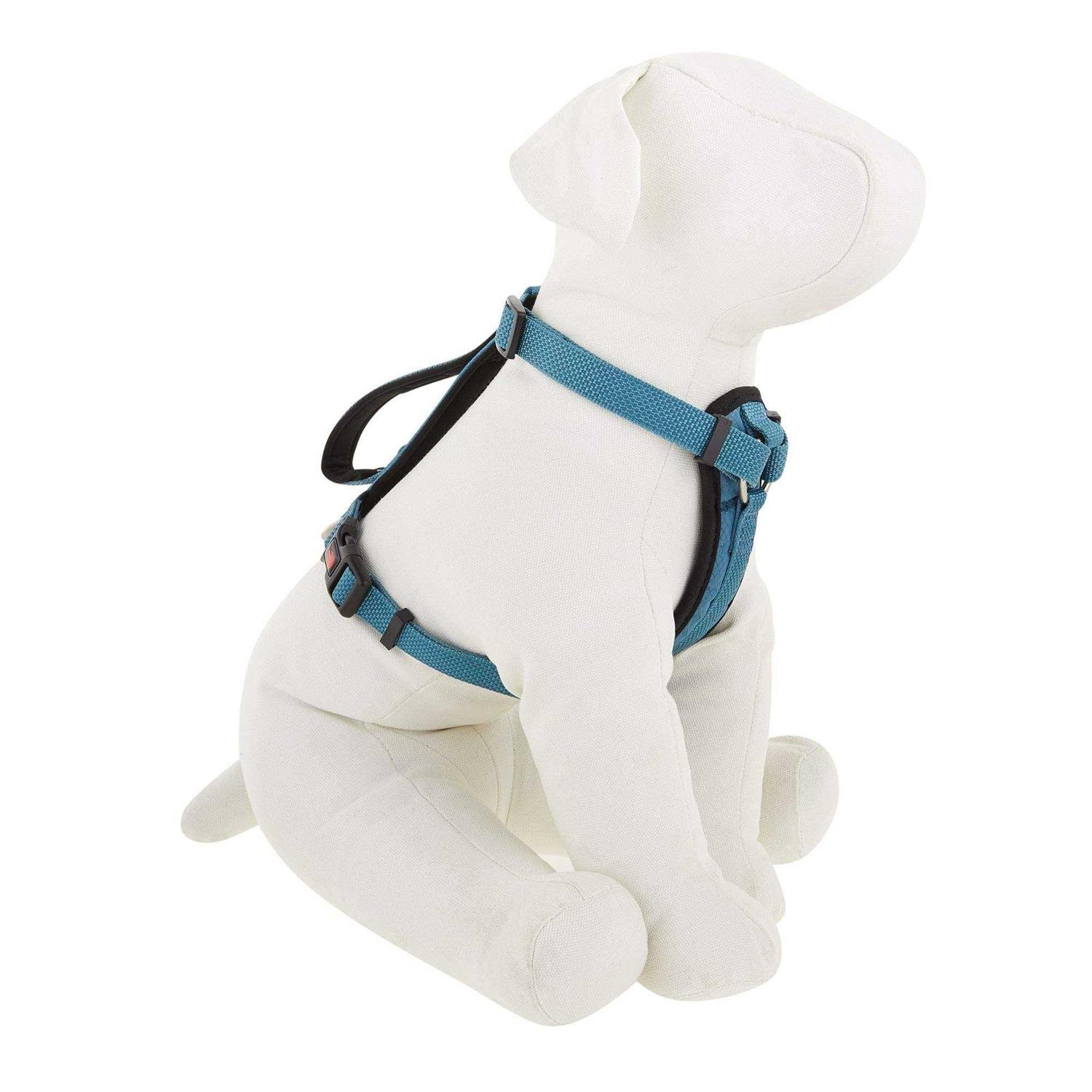 Kong Comfort Padded Chest Plate Dog Harness - Pet Supplies online store