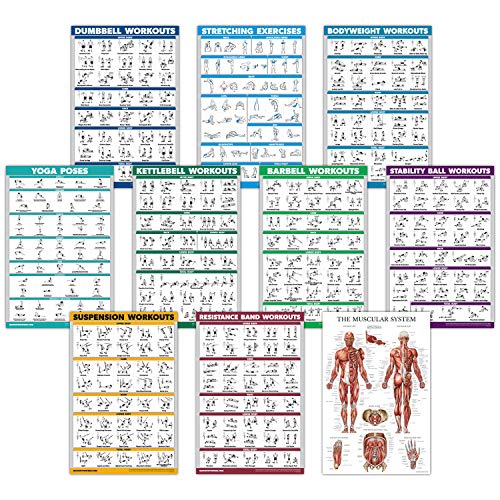 10 Pack - Exercise Workout Poster Set - Dumbbell, Suspension, Kettlebell, Resistance Bands, Stretching, Bodyweight, Barbell, Yoga Poses, Exercise Ball, Muscular System Chart (LAMINATED,18