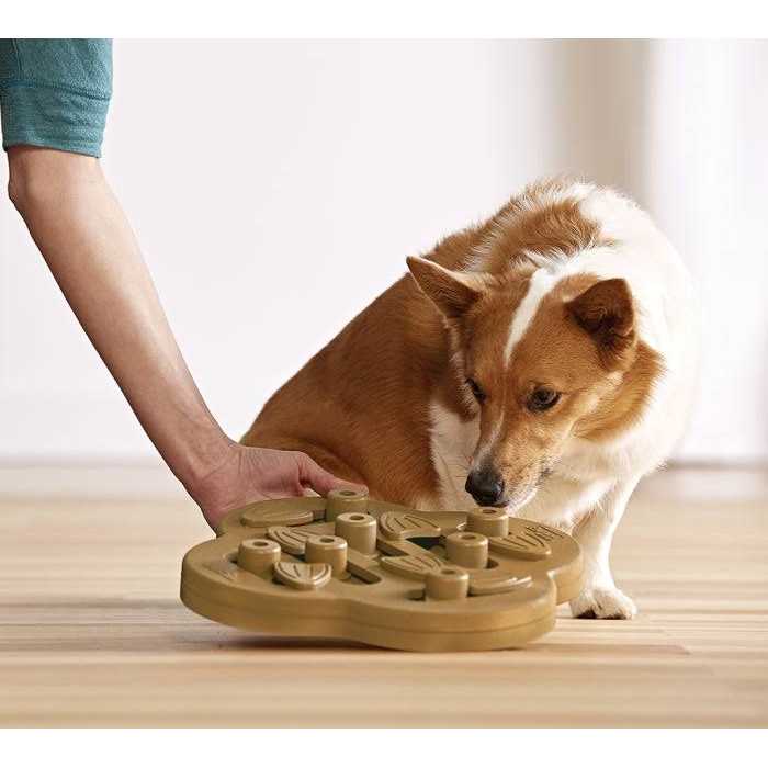 Outward Hound Hide N Slide Puzzle Dog Toy - Pet Supplies online store