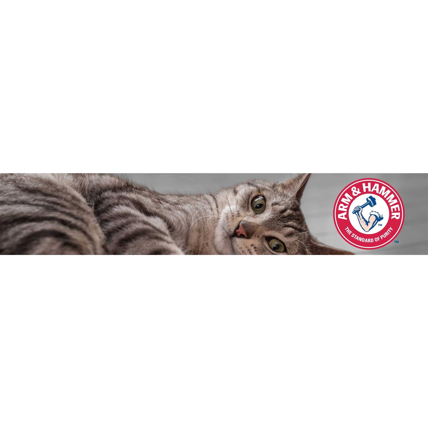 Arm & Hammer Clump & Seal Platinum Multi-Cat Complete Odor Sealing Clumping Cat Litter - Pet Supplies online store