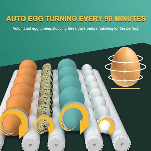 Choies 16 Egg Incubator,Incubators for Hatching Eggs,Automatic Egg Turning,Humidity Control,Automatic Water Adding,Incubator with Egg Candler,Quail Eggs Incubators for Hatching Chicken,Duck,Goose