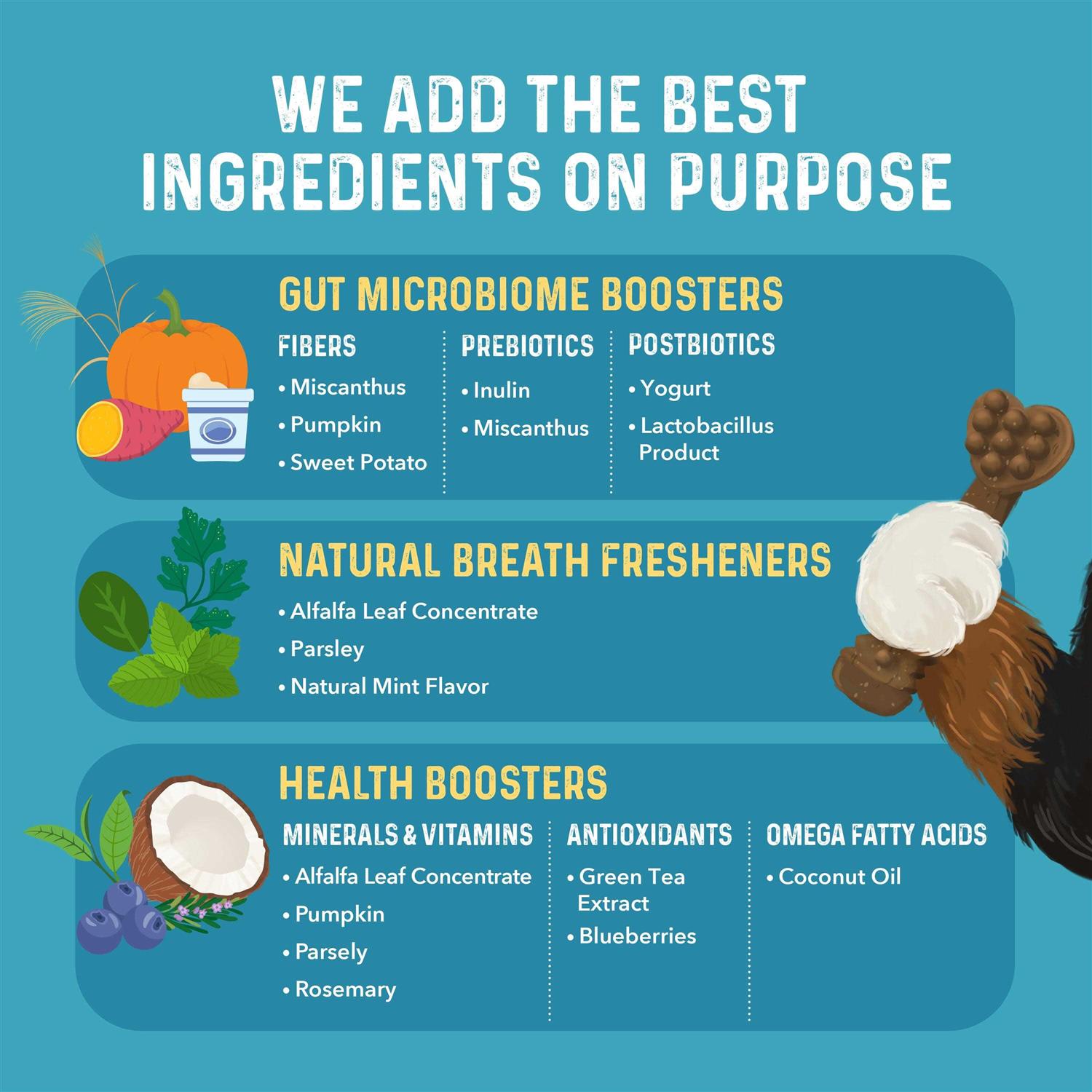 Bernie's Charming Chompers Daily Dental Chews Dogs - Pet Supplies online store