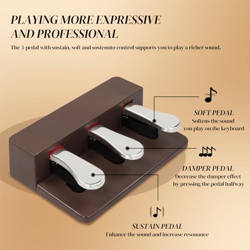 Ktaxon Digital Piano 88-Key Weighted Action Electric Piano with 3-Pedal Unit, Double Bluetooth, Split/Touch/Transpose Control Functions(Black)