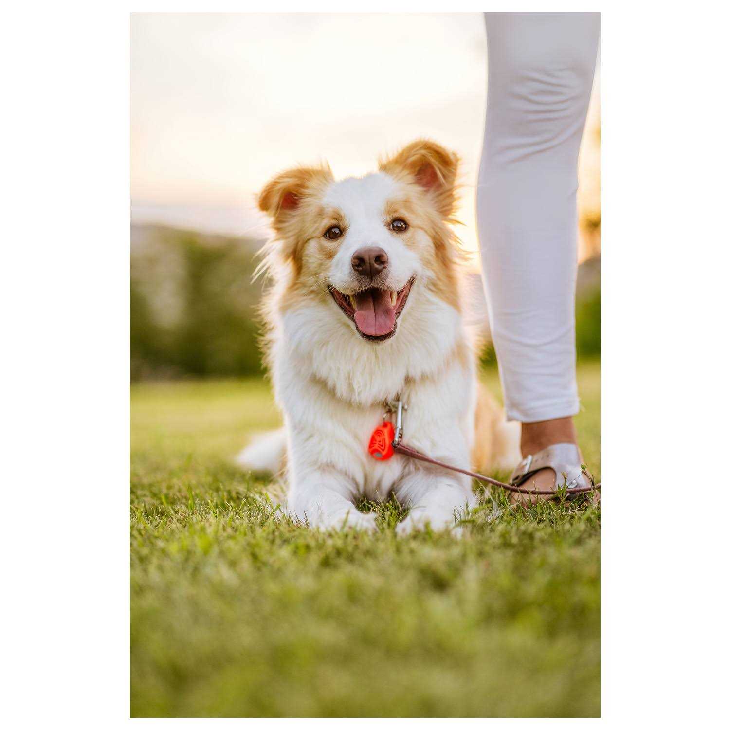 Tickless Pet Ultrasonic Tick and Flea Repeller - Pet Supplies online store