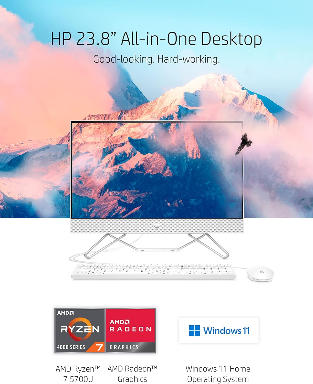 HP 24