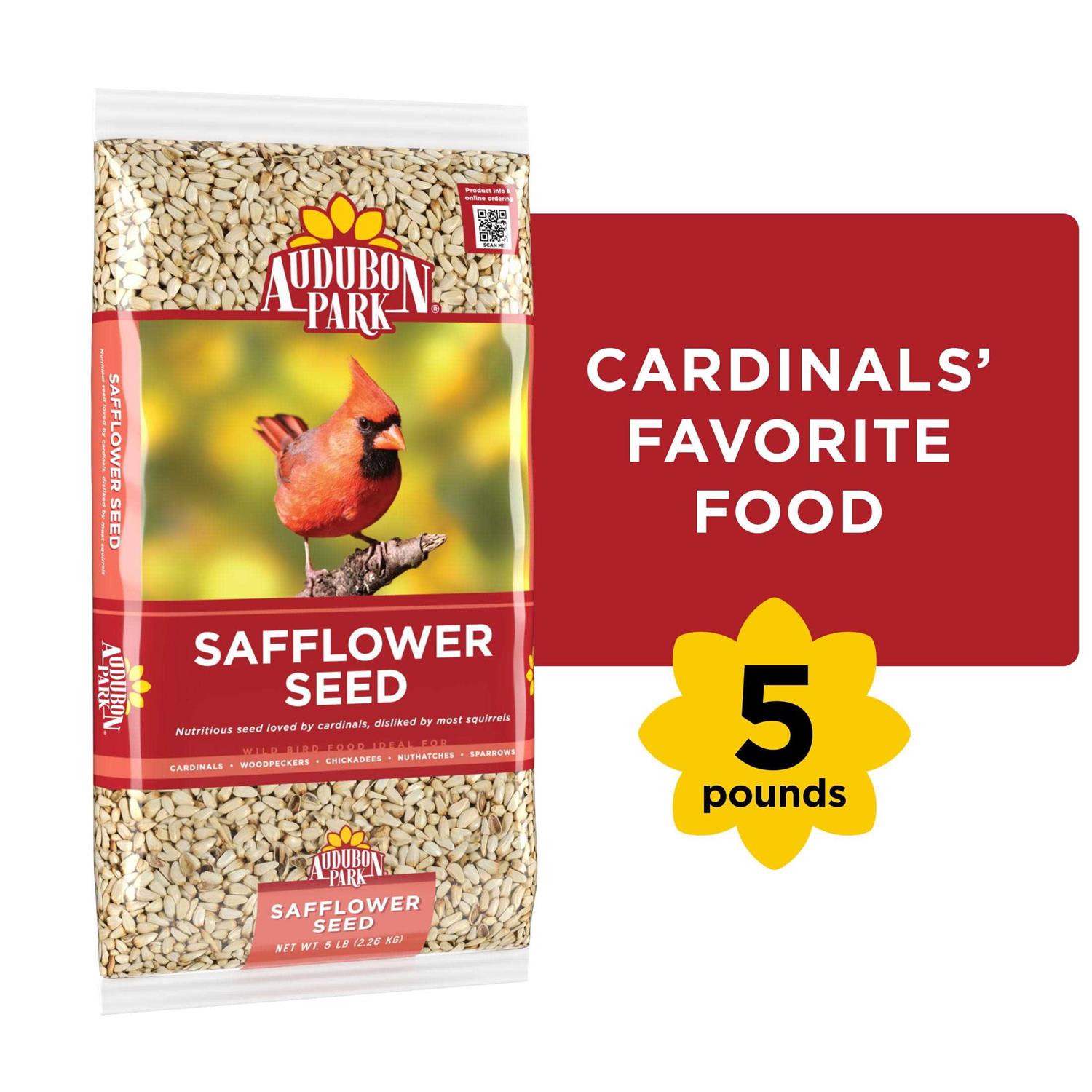 Audubon Park Safflower Seed Wild Bird Food - Pet Supplies online store