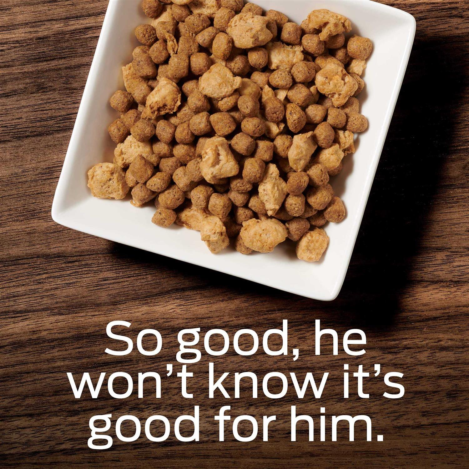 Purina Pro Plan Veterinary Diets OM Select Blend Overweight Management Dry Dog Food - Pet Supplies online store