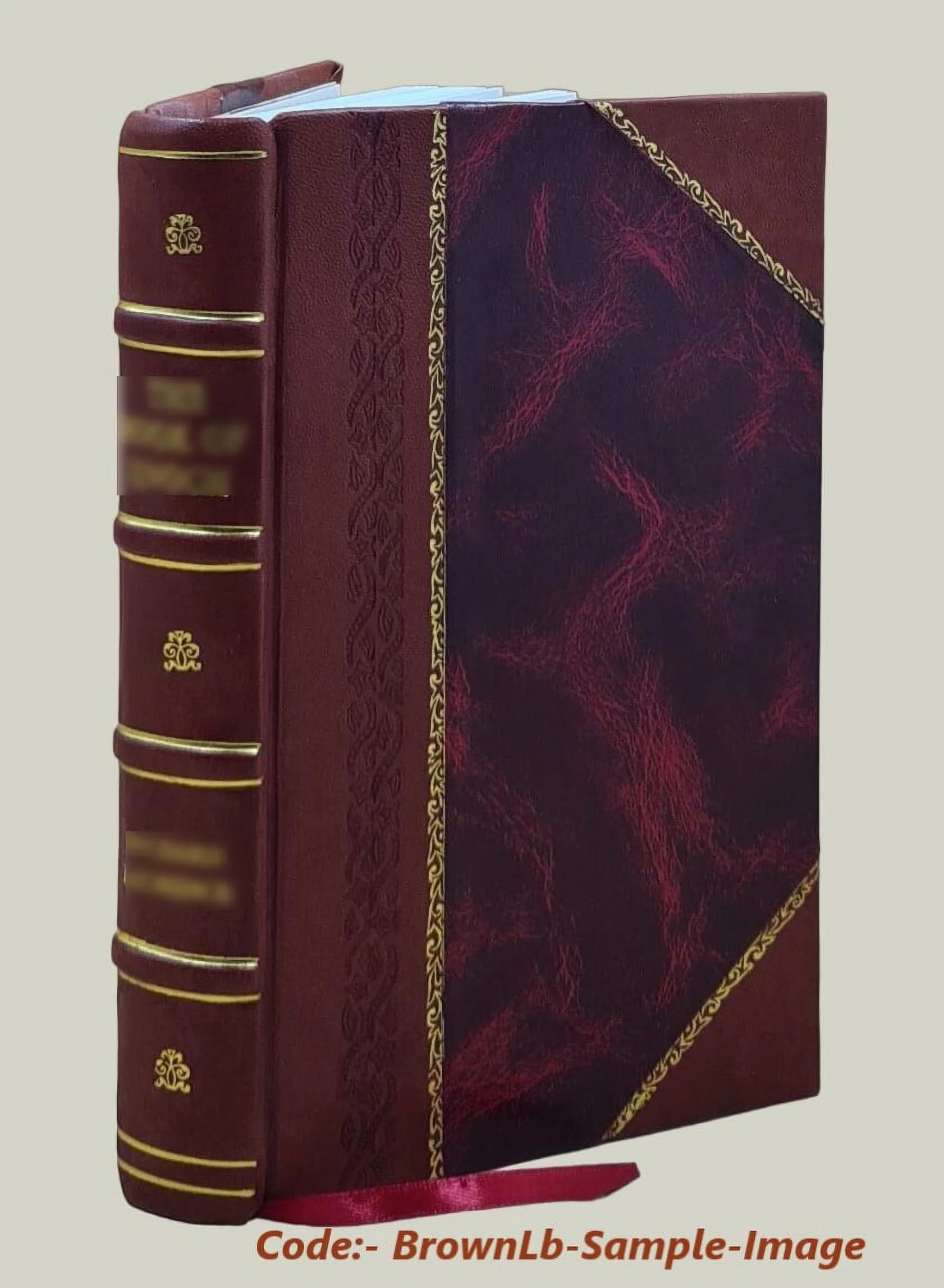 The book of the visions & instructions of blessed Angela of Foligno 1903 [Leather Bound]