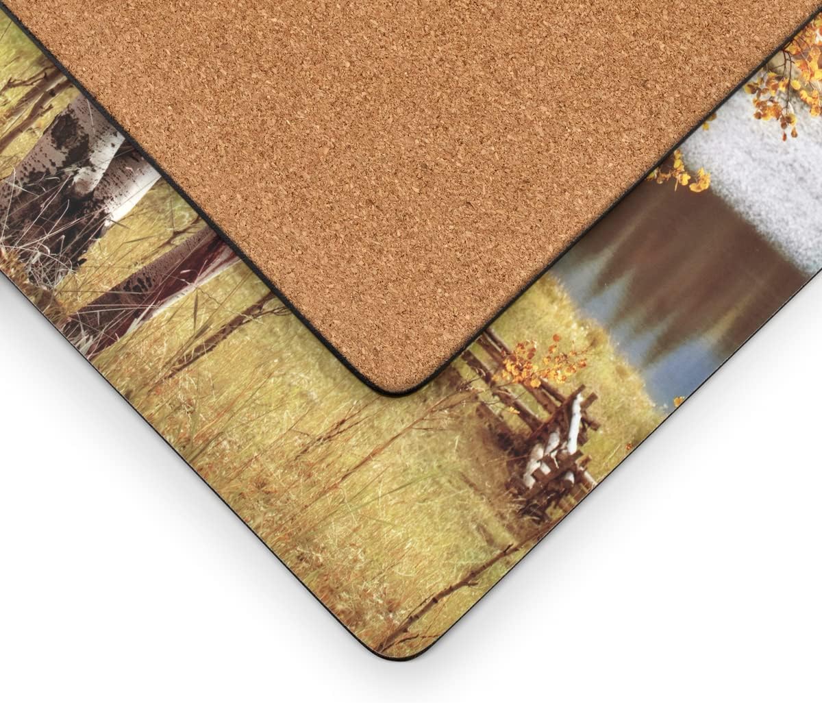 Pimpernel Birch Beauty Collection Placemats | Set of 4 | Heat Resistant Mats | Cork-Backed Board | Hard Placemat Set for Dining Table | Measures 15.7” x 11.7” Multicolor