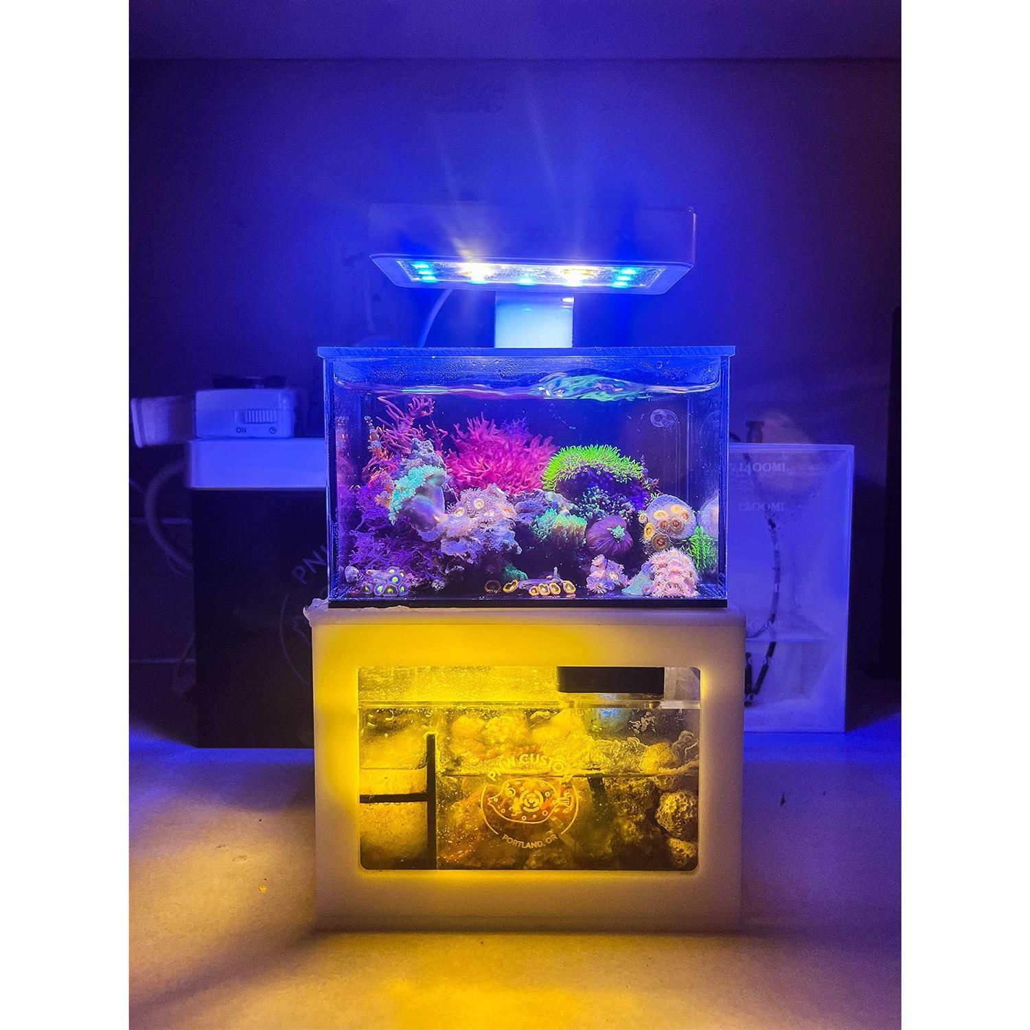PNW Custom Micro Reef-Ready 40oz Desktop Aquarium - Pet Supplies online store