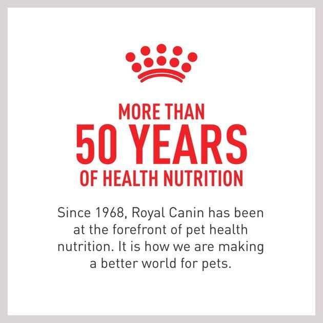 Royal Canin Small Adult Wet Dog Food - Pet Supplies online store