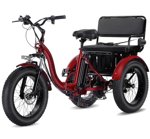 Adult Electric Tricycle Adult Tricycle 3 Wheel Bikes Adults Electric Three Wheel Bike - Radiant Selections