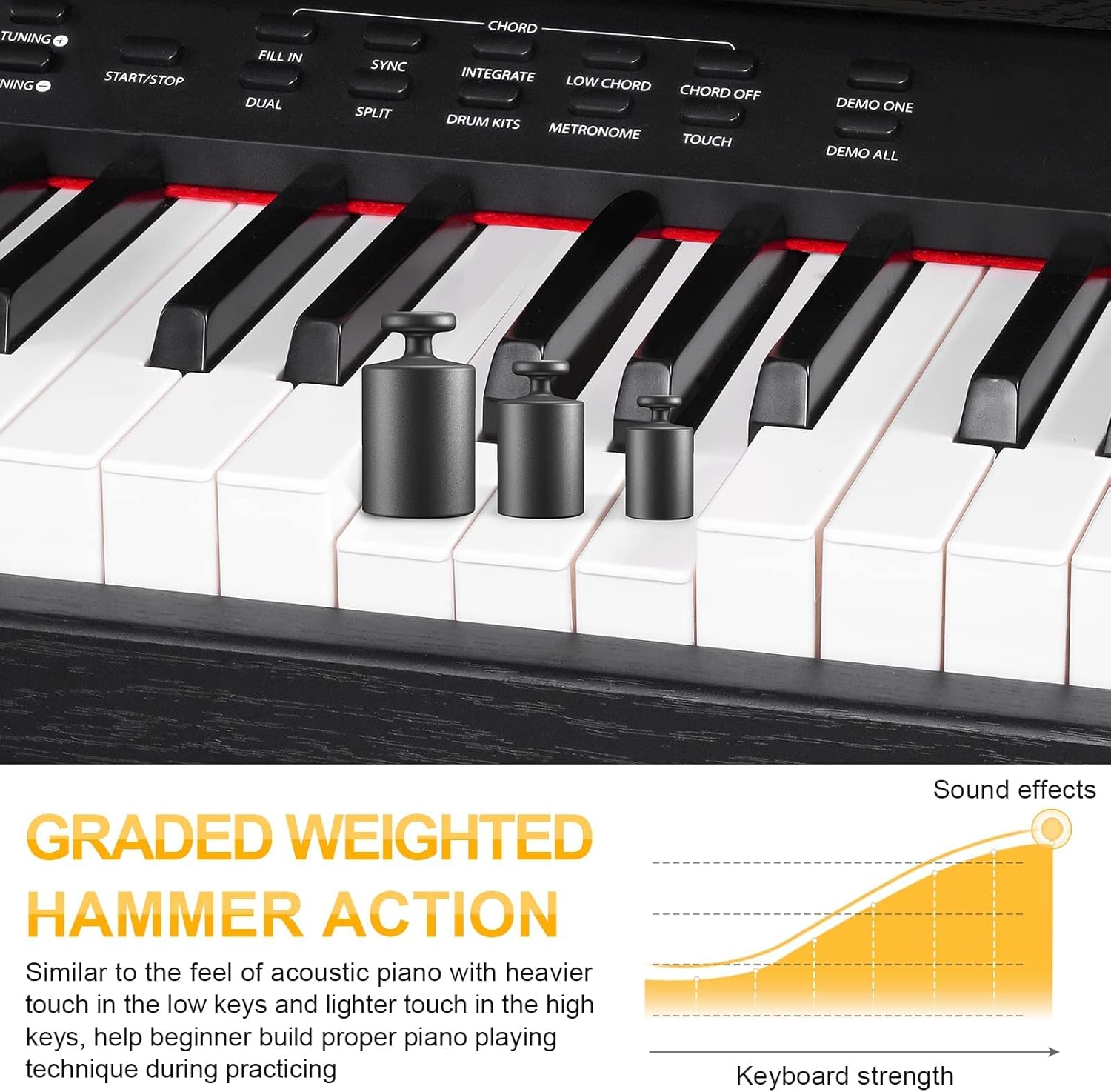 Digital Piano, 88 Key Weighted Home Piano Bundle for Beginner Professional with Furniture Stand, Slide Key Cover, Black, by Vangoa