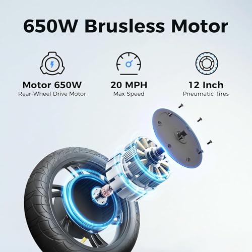 Jasion JS3/PRO Electric Scooter with Seat, 650/850W Peak Motor, 20/25Miles Ranges Scooters for Adults, 20/25MPH Max Speed, Foldable E-Scooter for Pets & Cargo, Dual Disc Brakes