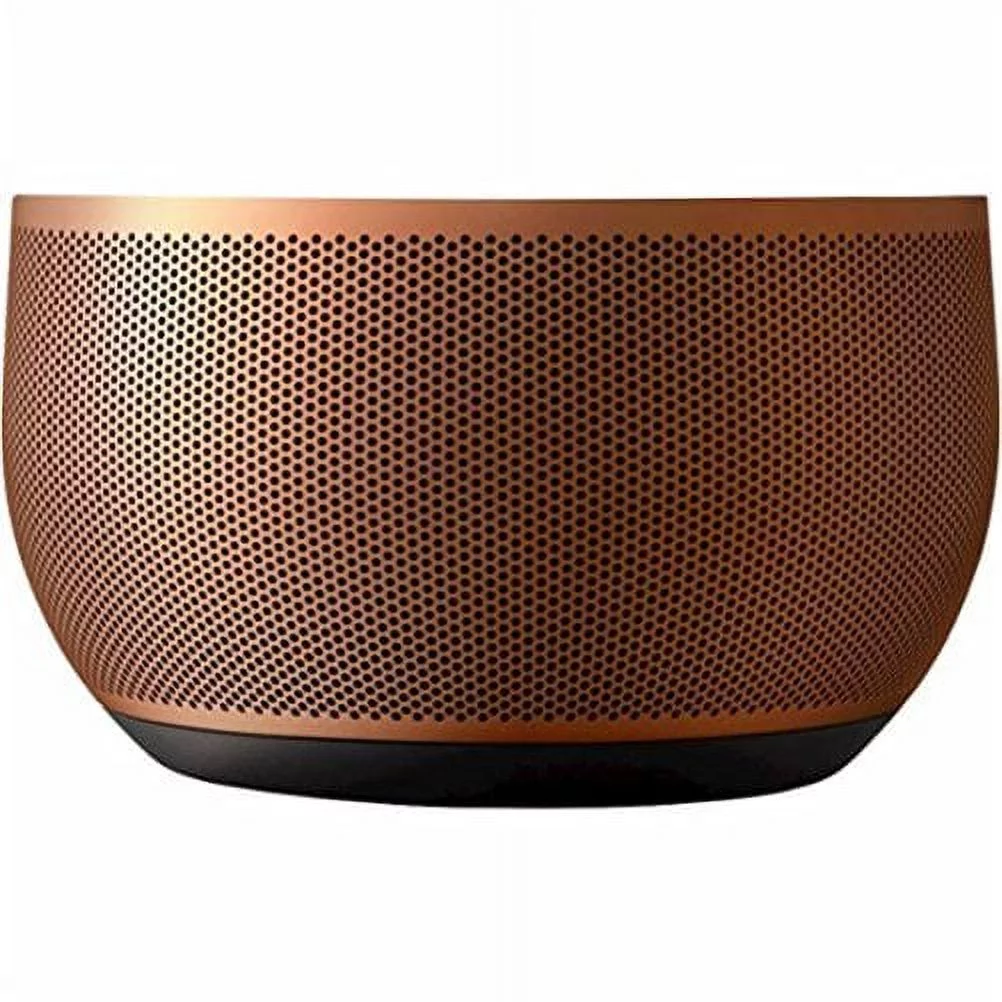GOOGLE INC - GOOGLE HOME BASE - COPPER