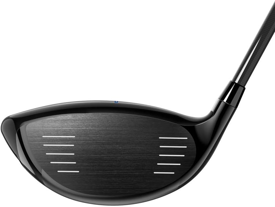 Whiteware Clay (Lo-Fire) - Pottery Clay Fires White - Smooth Texture (15 Pounds)