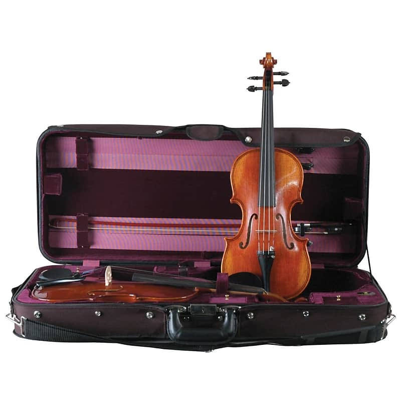 Bellafina Double Violin Case