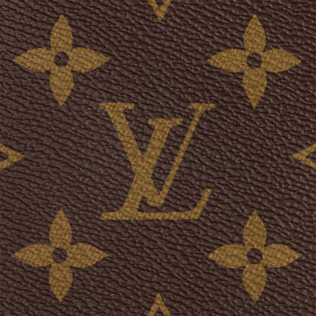 Louis Vuitton M44840 Multi-Pochette Accessoires