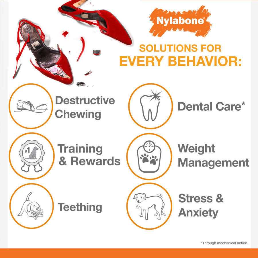 Nylabone Power Chew Lobster Dog Toy Filet Mignon - Pet Supplies online store