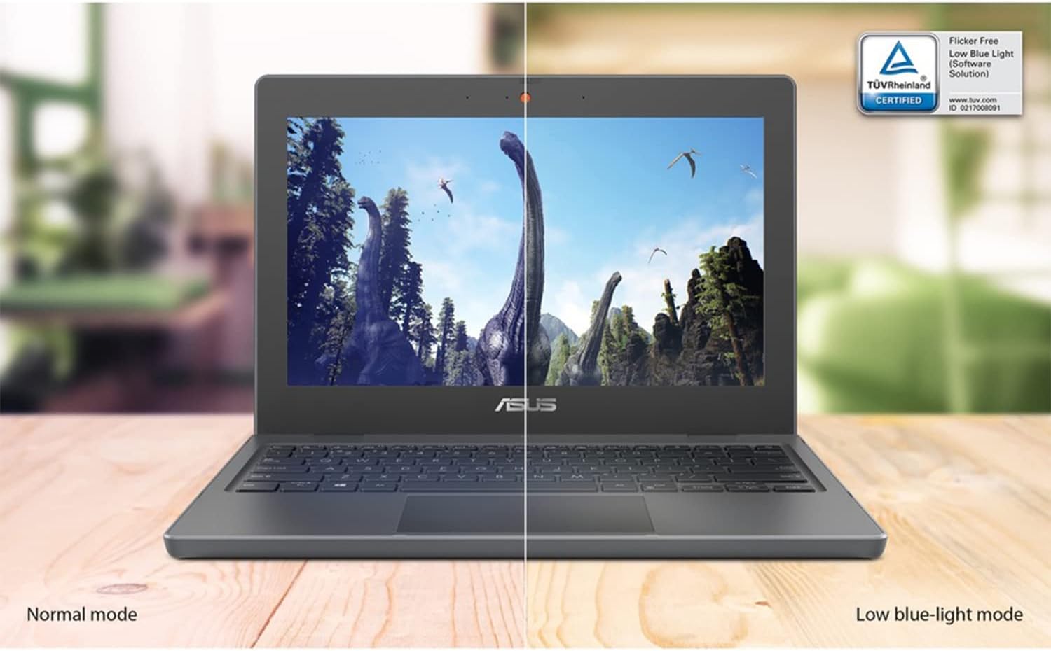 Asus Student Laptop, 12 inch IPS Anti-Glare Eye-Care HD Display, Intel Celeron N4500, Military-Grade Durability, Wi-Fi 6, Windows 10 Pro (4GB RAM | 256GB SSD), (BR1100CKA-XS04) (Renewed)