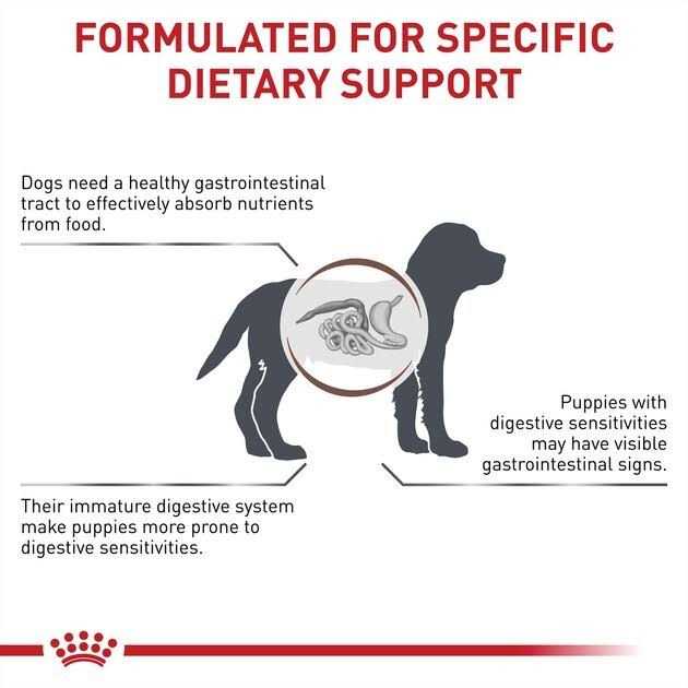 Royal Canin Veterinary Diet Gastrointestinal Puppy Ultra Soft Mousse in Sauce Canned Dog Food - Pet Supplies online store