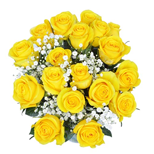 18 Yellow Roses + Baby's Breath Fresh Flower Bouquet with Vase | Arabella Bouquets | Flowers for Delivery, Graduation, Birthday, Congratulations