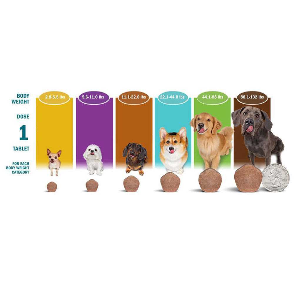 Simparica Trio 44.1-88 lbs. Dogs, 6 Month Supply - Pet Supplies online store