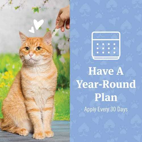 PetArmor Plus Flea and Tick Treatment for Cats - Pet Supplies online store