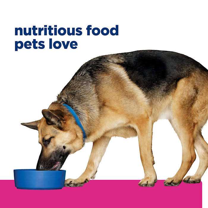 Hill's Prescription Diet Gastrointestinal Biome Digestive/Fiber Care Chicken & Vegetable Stew Wet Dog Food - Pet Supplies online store