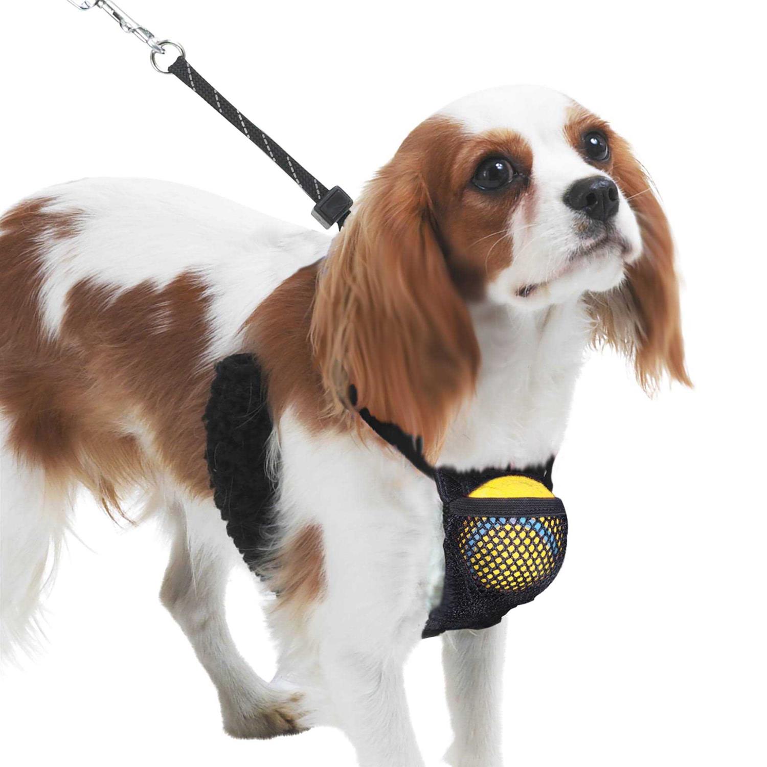 Sporn Nylon Mesh Non-Pulling Dog Harness - Pet Supplies online store