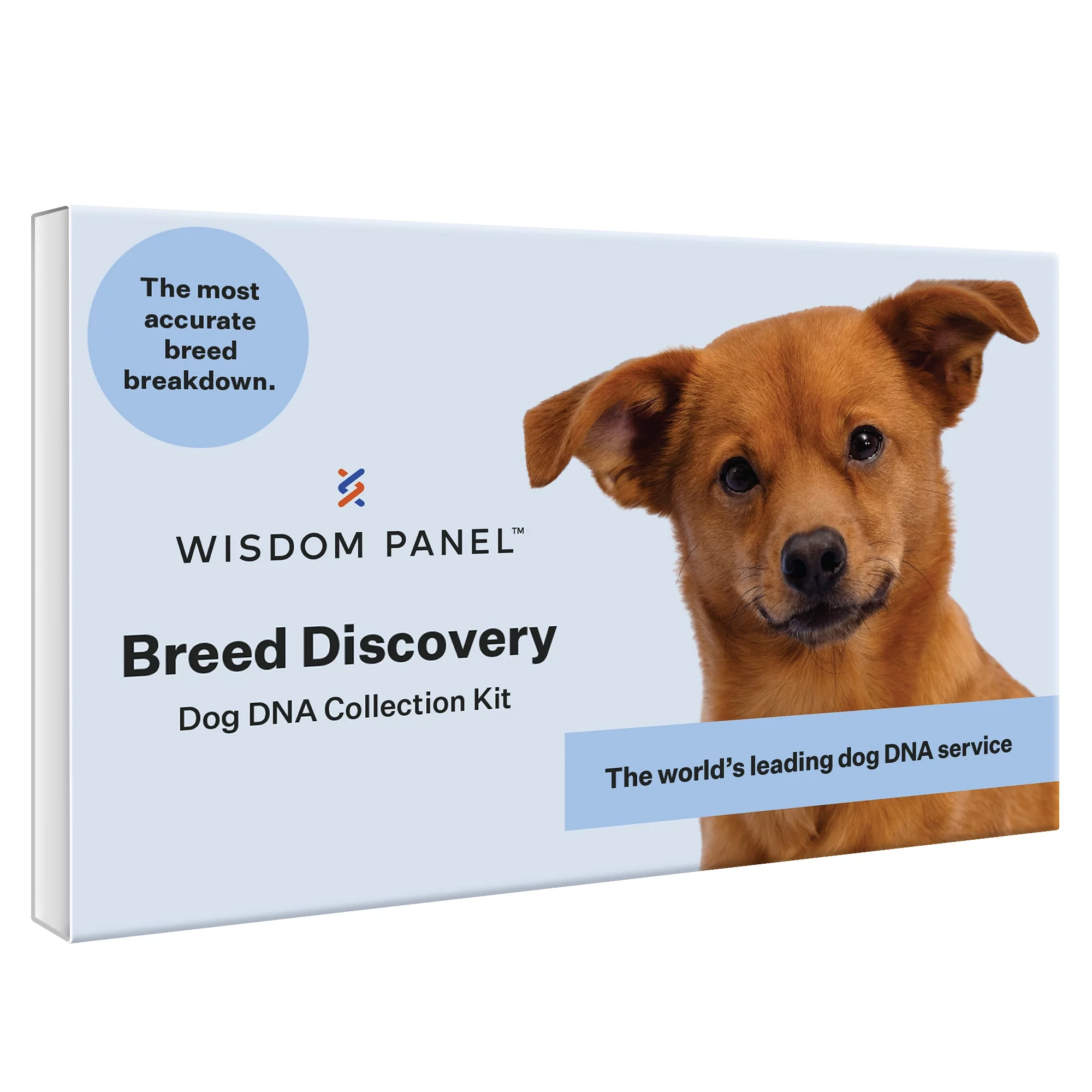 Wisdom Panel Dog Breed Discovery DNA Test Kit - Radiant Selections