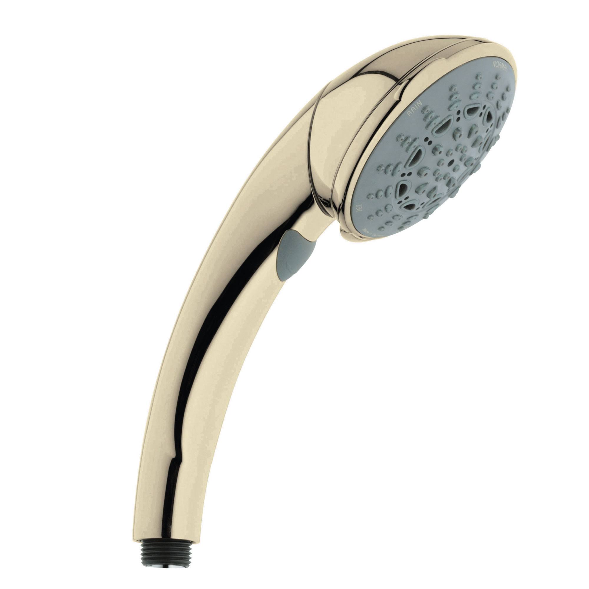 Grohe 28444R00 Movario 5 Hand Shower in Polished Brass
