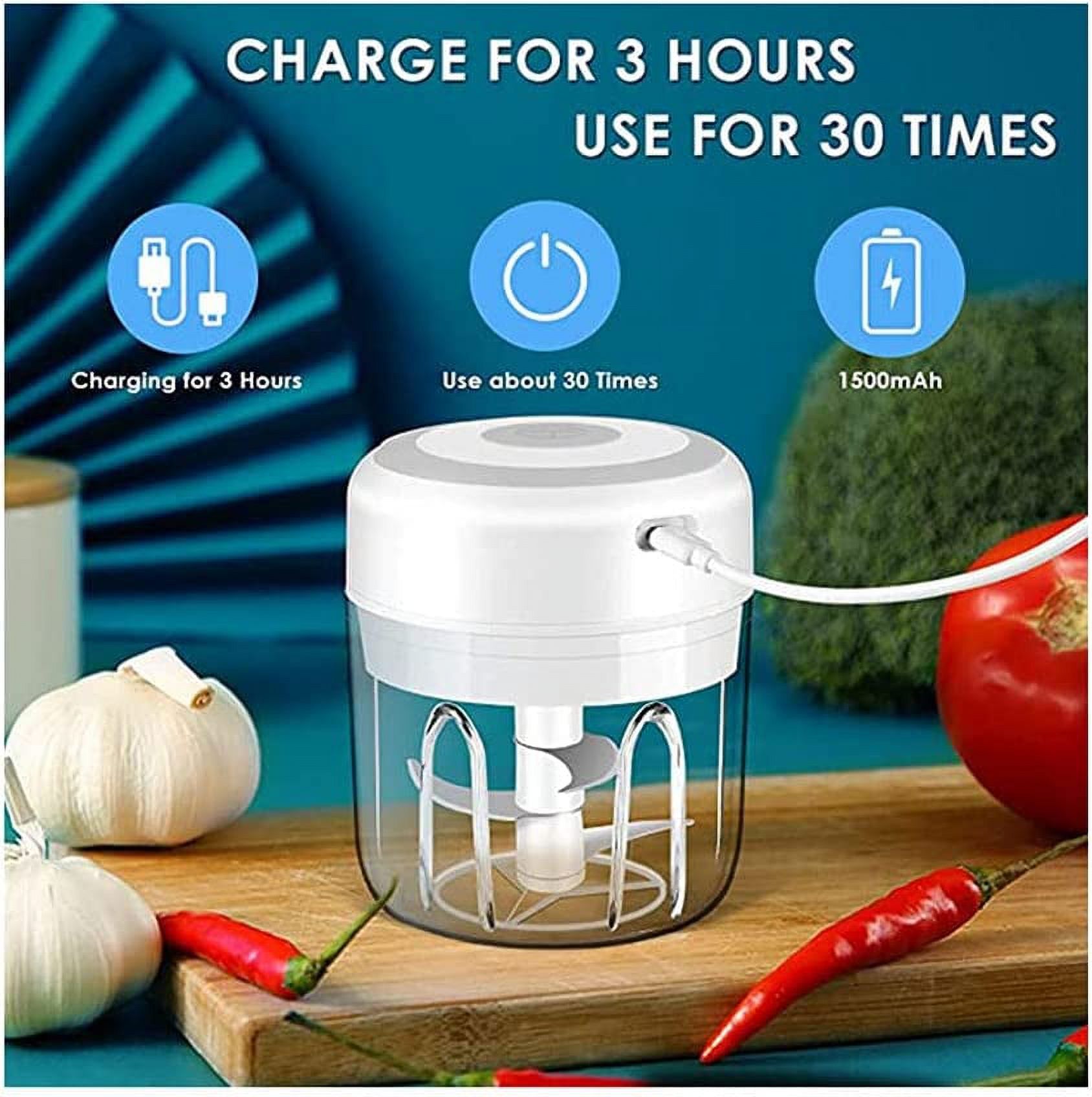 Electric Mini Garlic Chopper,Portable Mini Mincer Electric Food Processor, 250ml Mini Baby Food Maker Presses for Chili Onion Meat Spices Chopper Blender Machine