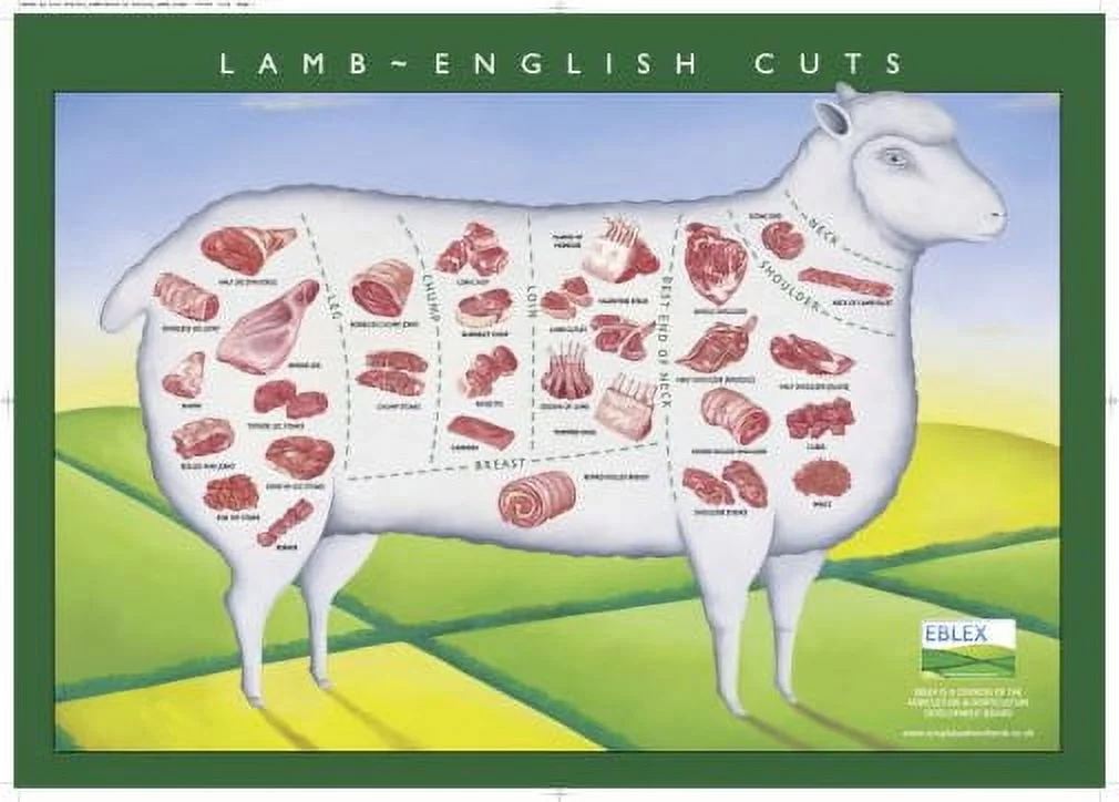 Lamb Cuts Illustration Chart Poster 24Inx36In Poster 24x36 Multi-Color Square Adults Poster Time