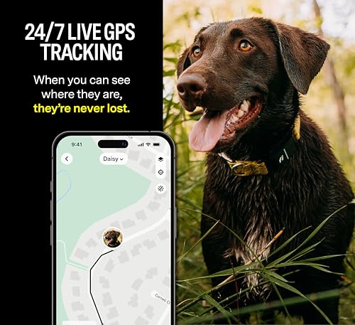 Fi Series 3 Smart Dog Collar - GPS Dog Tracker and Activity & Health Monitor, Waterproof, LED Light, Escape Alerts, Nationwide Coverage [Free 1 Year Membership] (Pink, Medium)