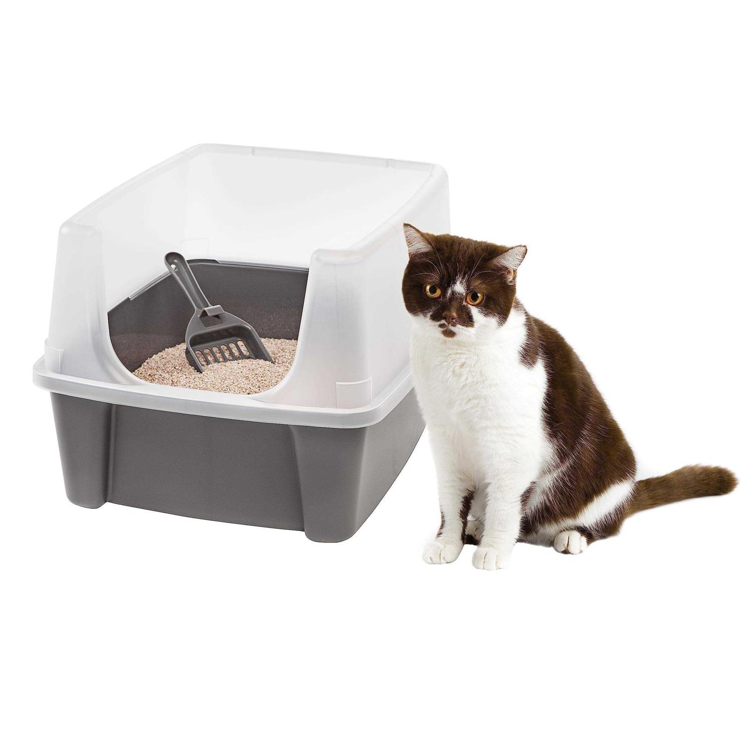Iris USA Open Top Cat Litter Box with Shield and Scoop - Pet Supplies online store