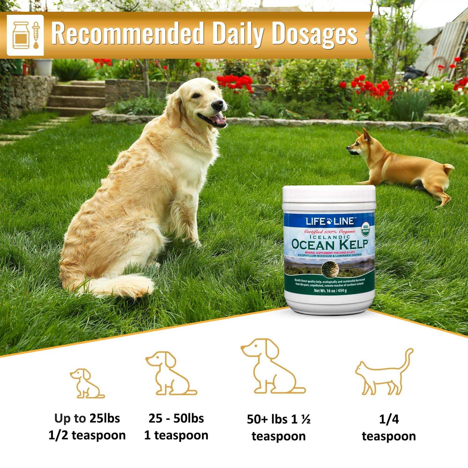 Life Line Pet Nutrition Life Line Ocean Kelp Dog & Cat Supplement - Pet Supplies online store