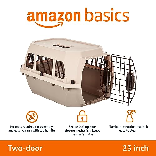 Amazon Basics 2-Door Top-Load Hard-Sided Pet Carrier for Dogs, Cats, Gray & Blue, 22.8 x 15.0 x 13.0 inches