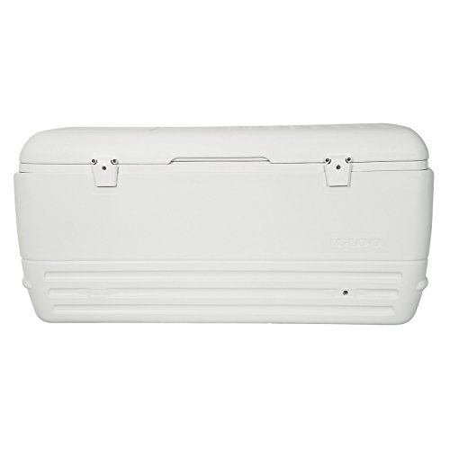 Igloo Quick and Cool Cooler (150-Quart, White)