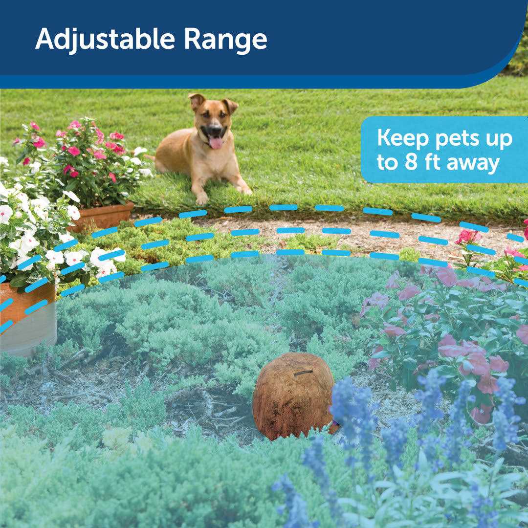 PetSafe Pawz Away Outdoor Pet Barrier - Pet Supplies online store