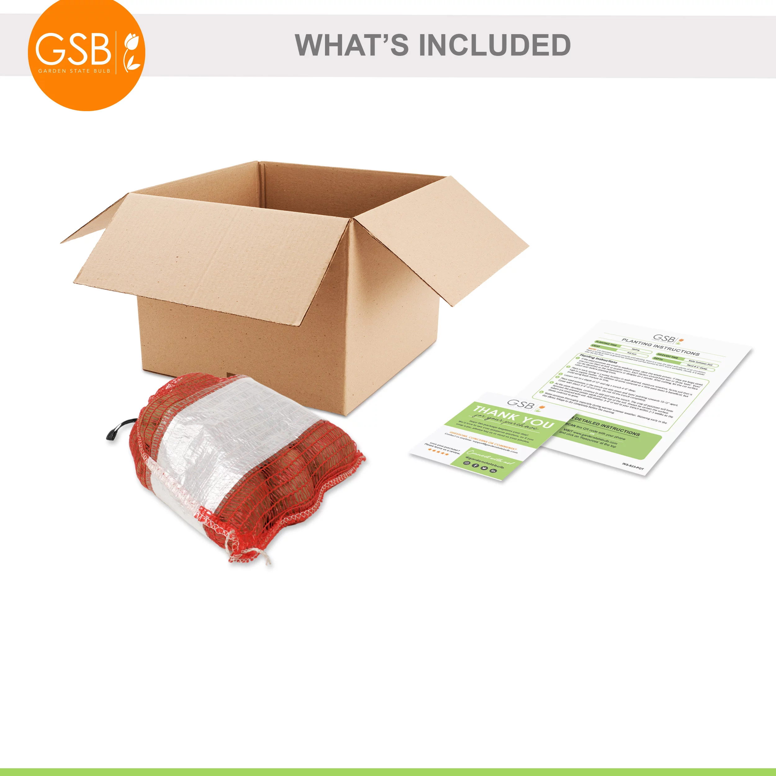 Garden State Bulb Red Norland Seed Potatoes for Planting, Non-GMO (5LB Bag )