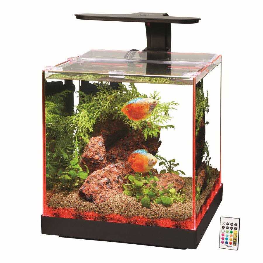 Aqueon Edgelit Cube Aquarium - Pet Supplies online store