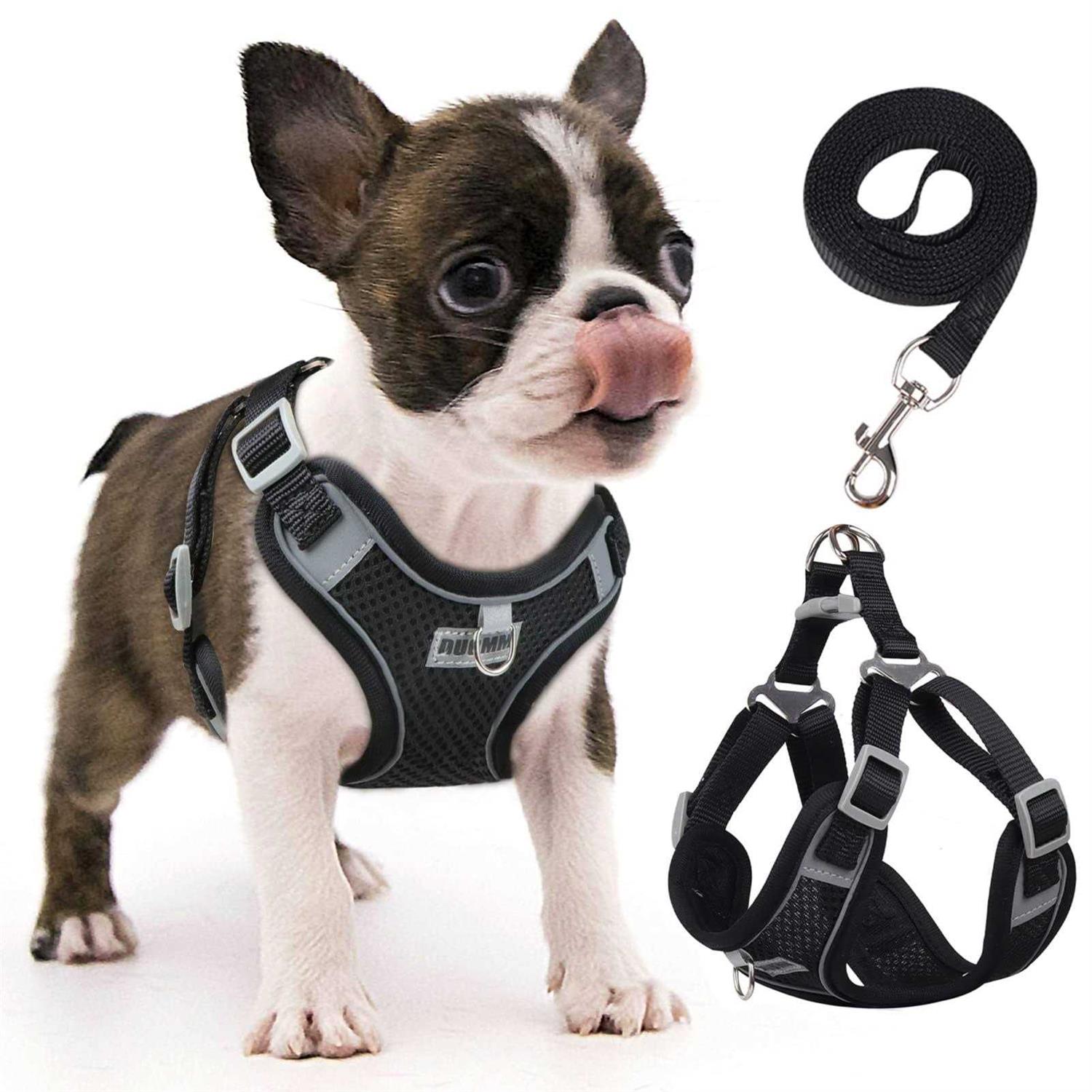 rennaio Dog Harness No Pull, Adjustable Puppy Harness with 2 Leash Clips, Ultra Padded Dog Vest Harness, Reflective Dog Harness and Leash - Pet Supplies online store