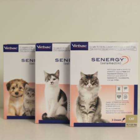 Senergy Topical for Cats 5.1 15 lbs - Pet Supplies online store